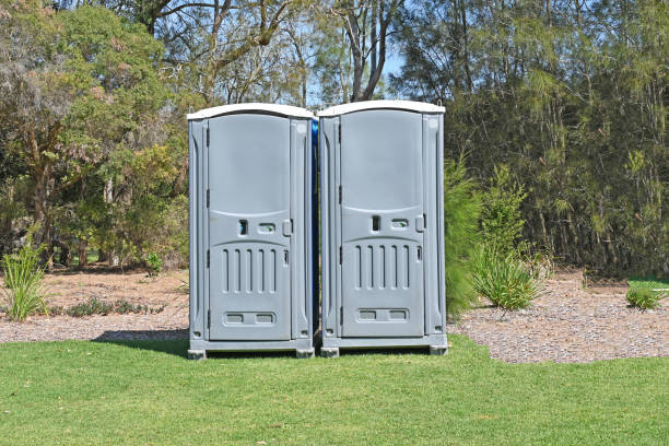 Best Standard Portable Toilet Rental  in Dillsboro, IN